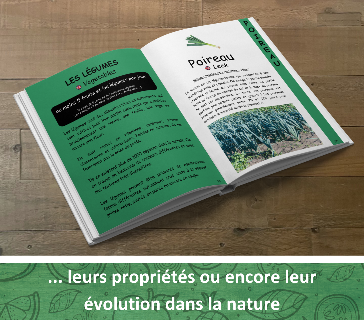 Le guide ultime des aliments
