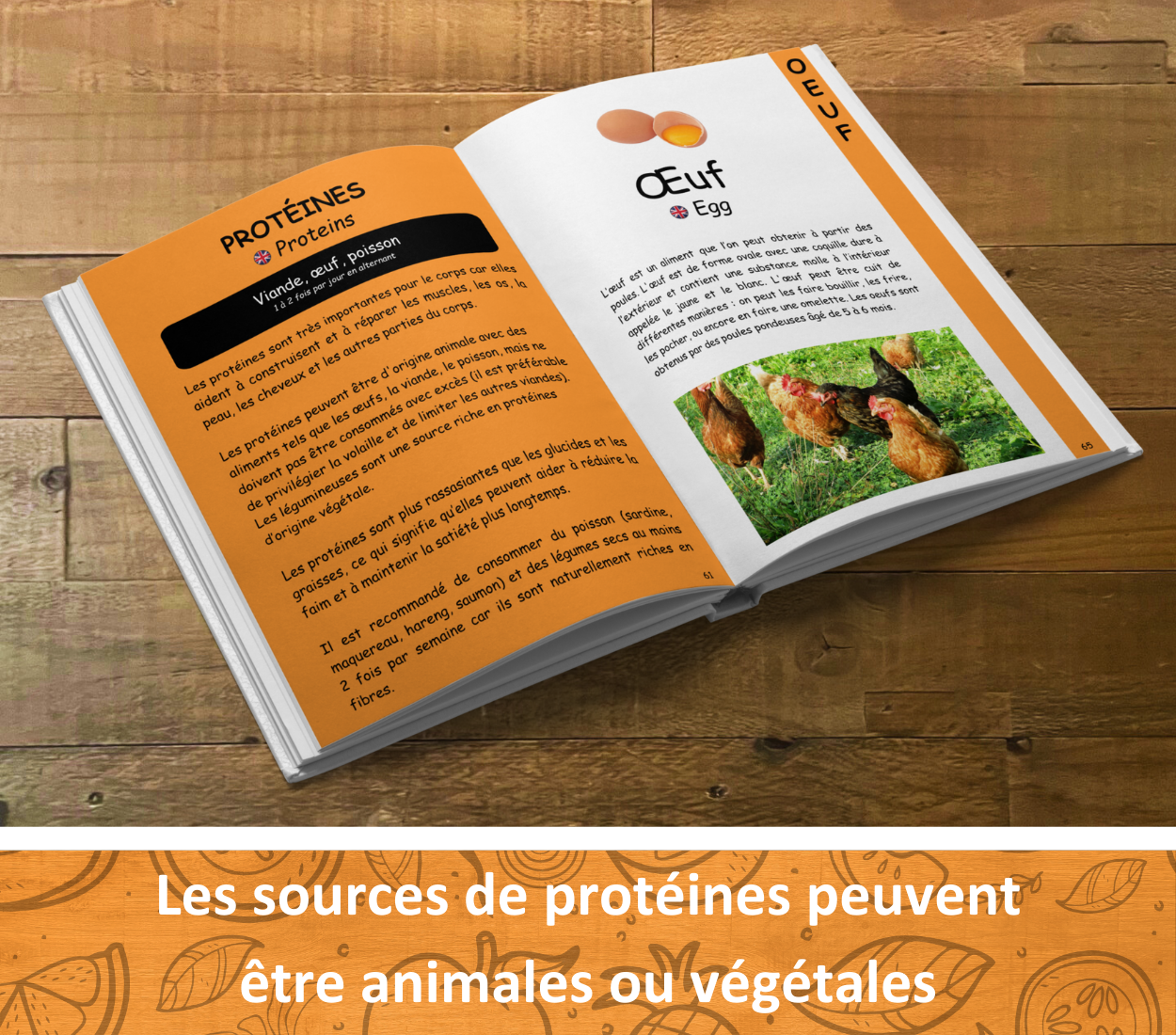 Le guide ultime des aliments