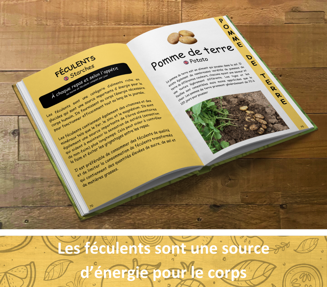 Le guide ultime des aliments