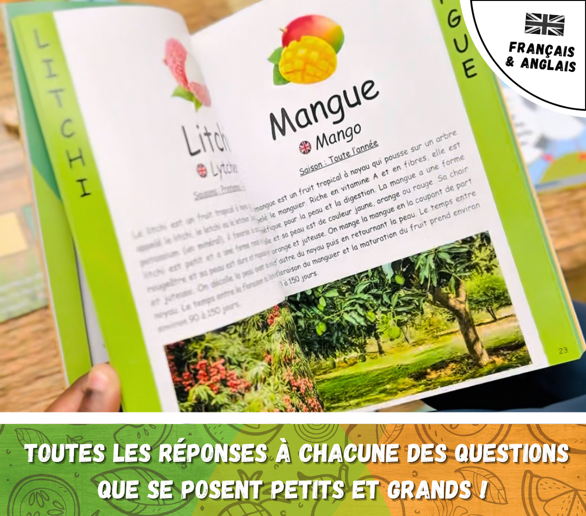 La Cantine des Champions : le jeu