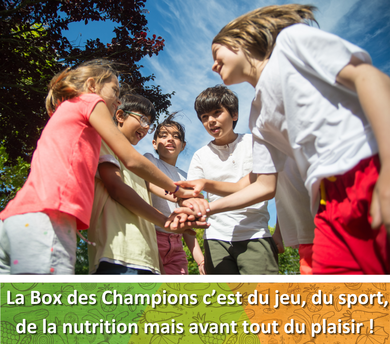 La box des Champions