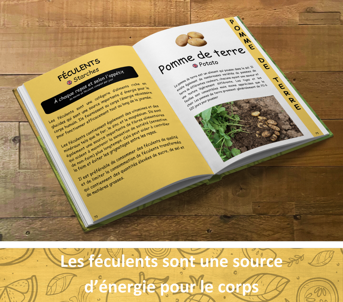 Le guide ultime des aliments