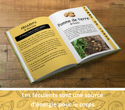 Le guide ultime des aliments