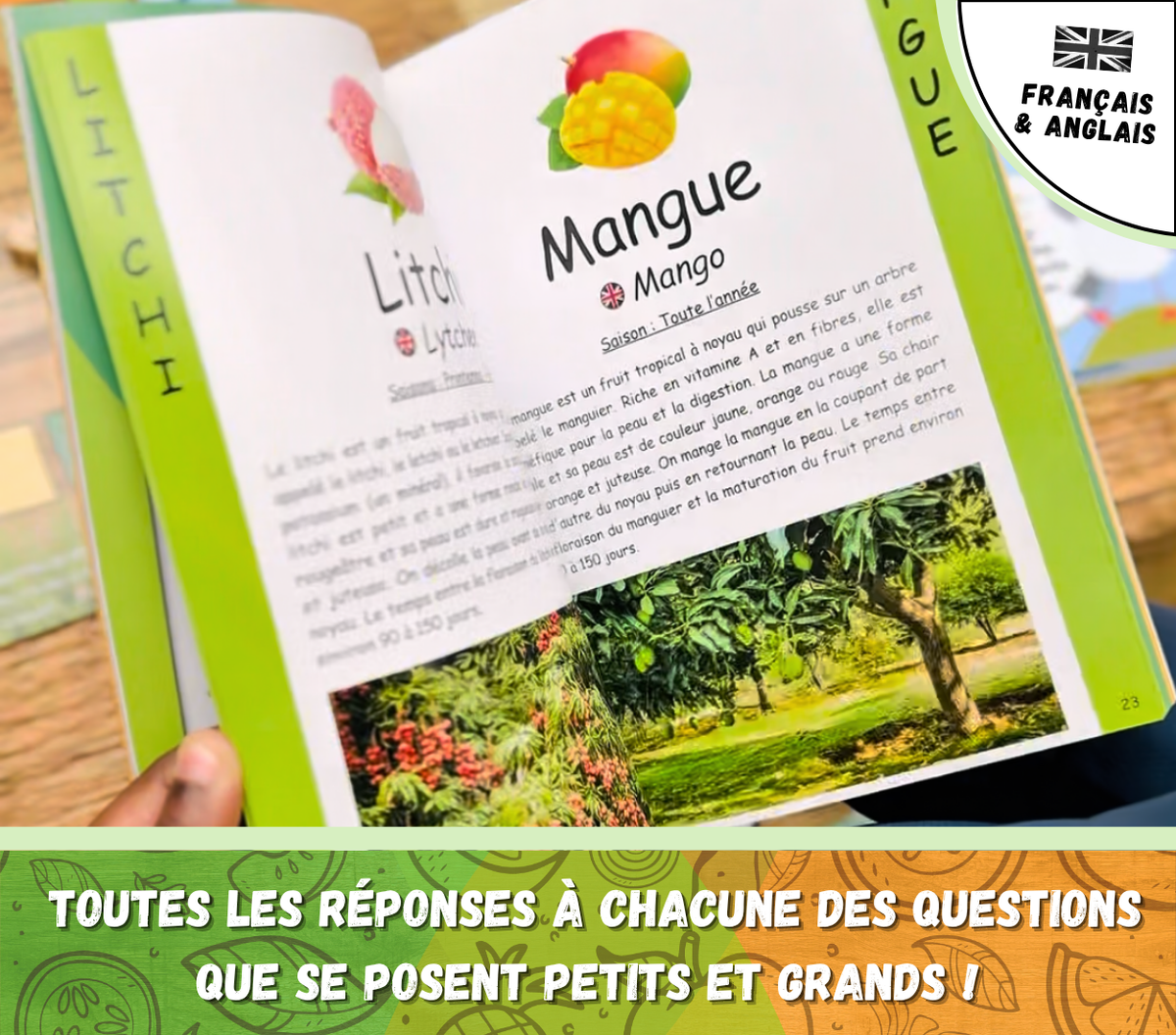 Le jeu de société